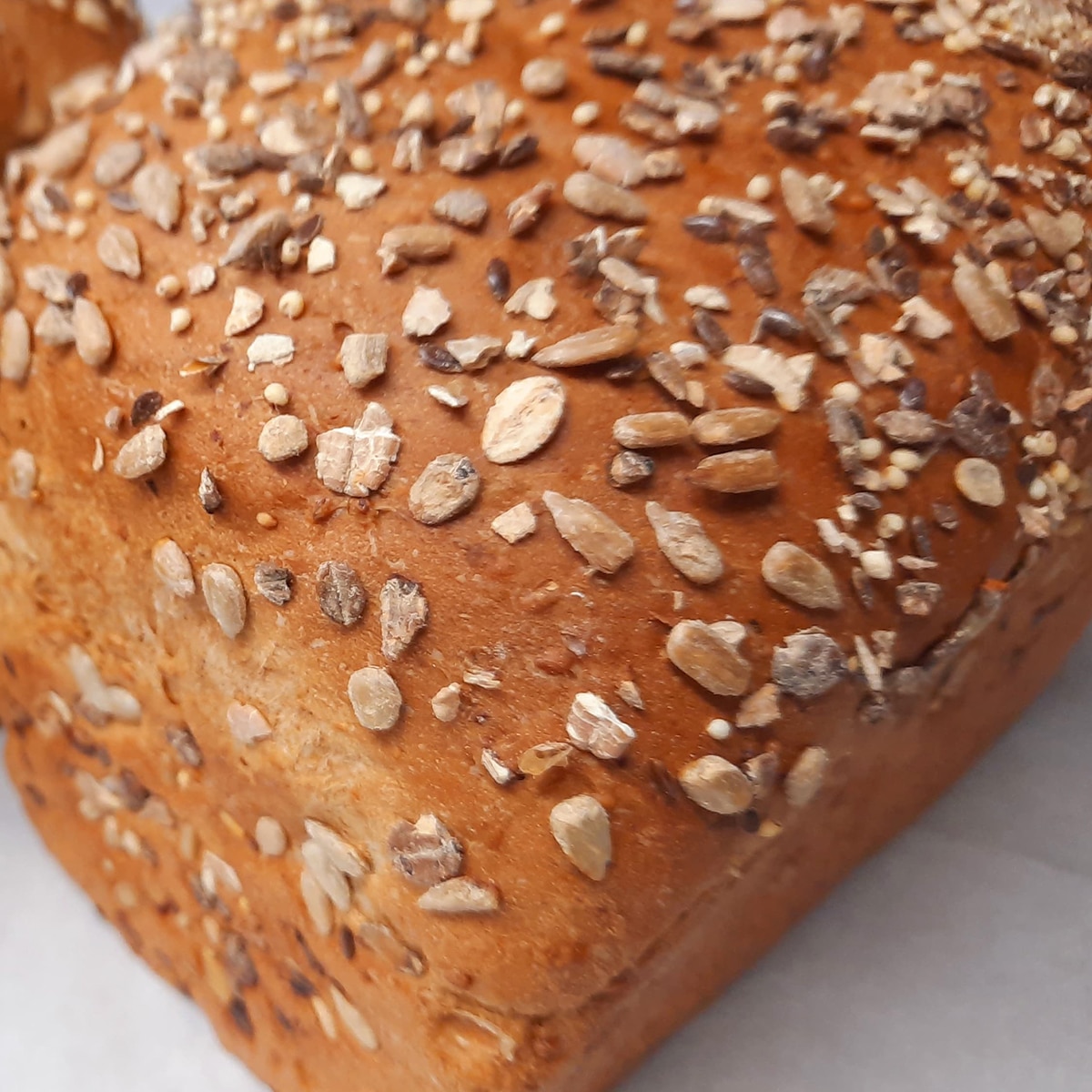 Bread - Yorkshire Born & Bread